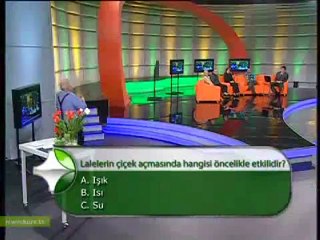 3 Varlık harikaları-4 Lale Stv