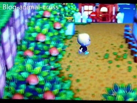 Animal Crossing Génie de la lampe