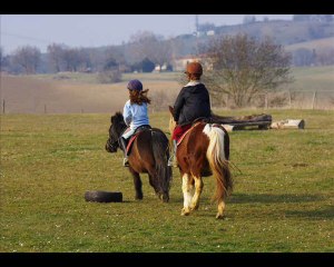 pension cheval nature 2011