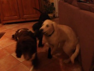 Fendi and Eliot Collaboration 🤝