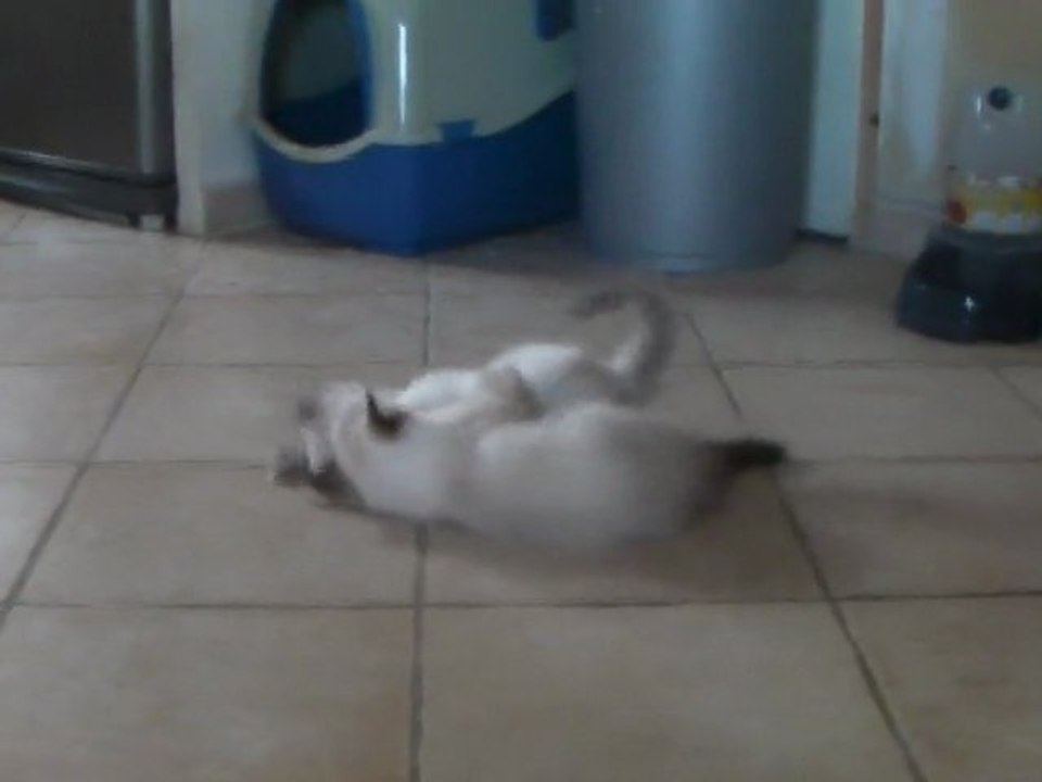 Fibie et son frère