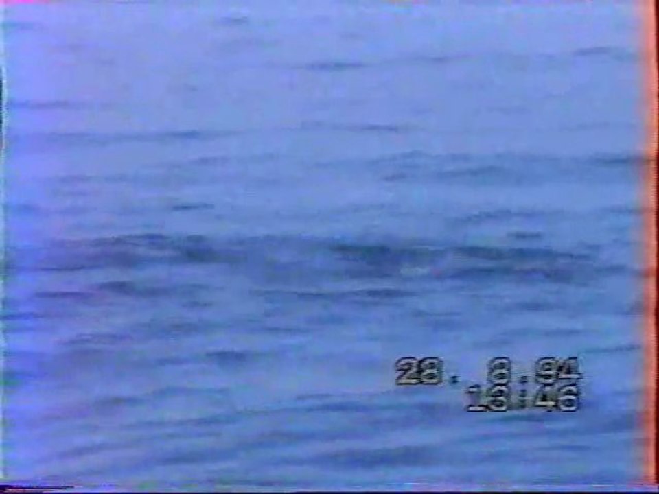 Bégnat - Chasseur de  thons -1994- Partie 1