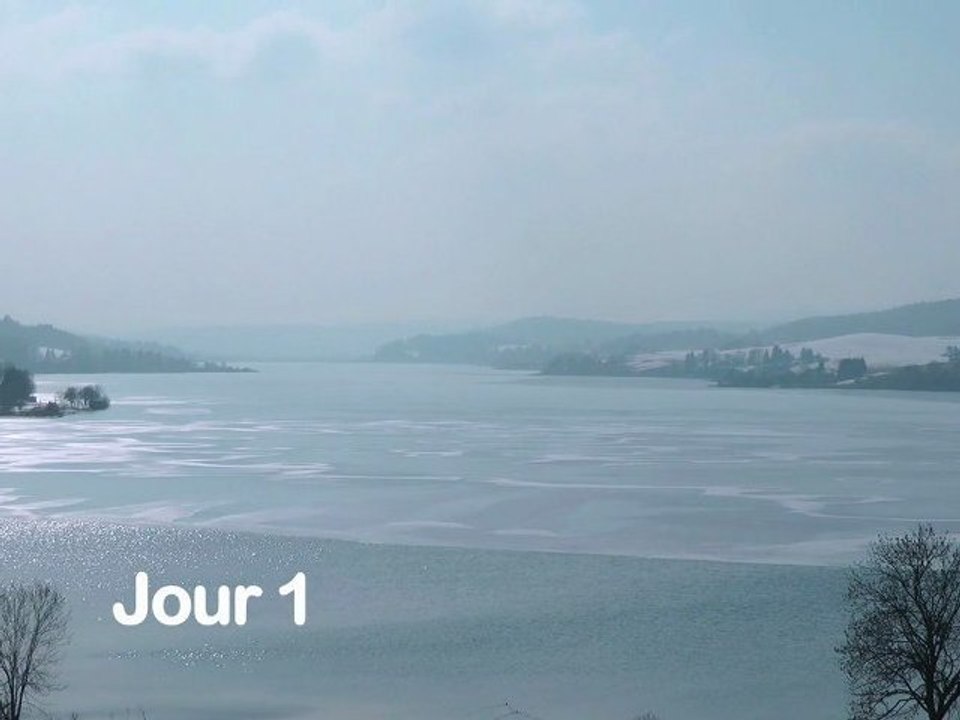 Montagnes du Jura : autour d'un Comté