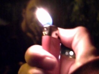 Making of L'Ornithorynque Vers Gallia