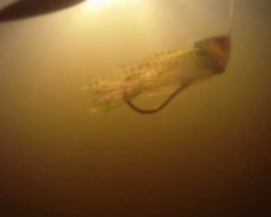 Spinnerbait DIAMOND