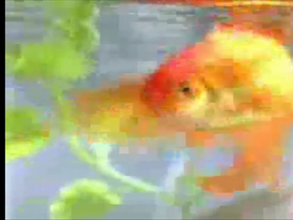 Pourquoi Good Value est créatif ?