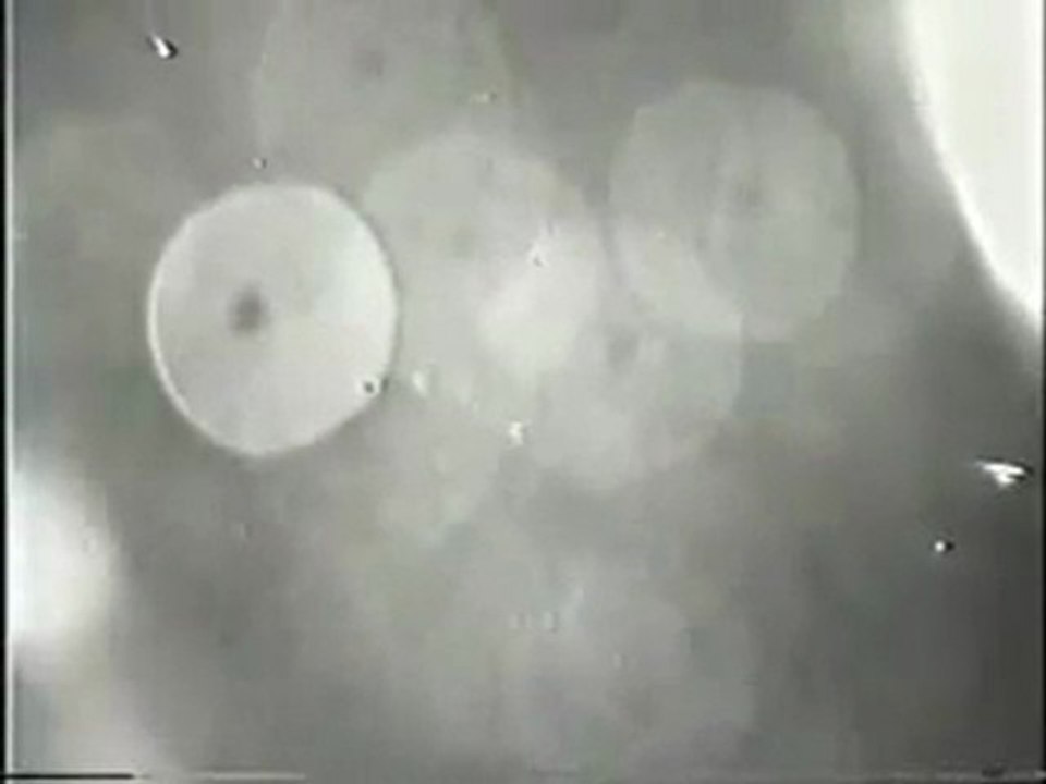 NASA cannot hide the aliens