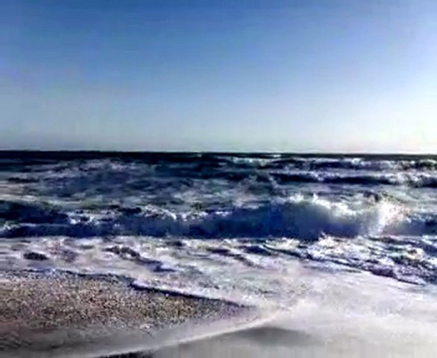 mare 02/03/11