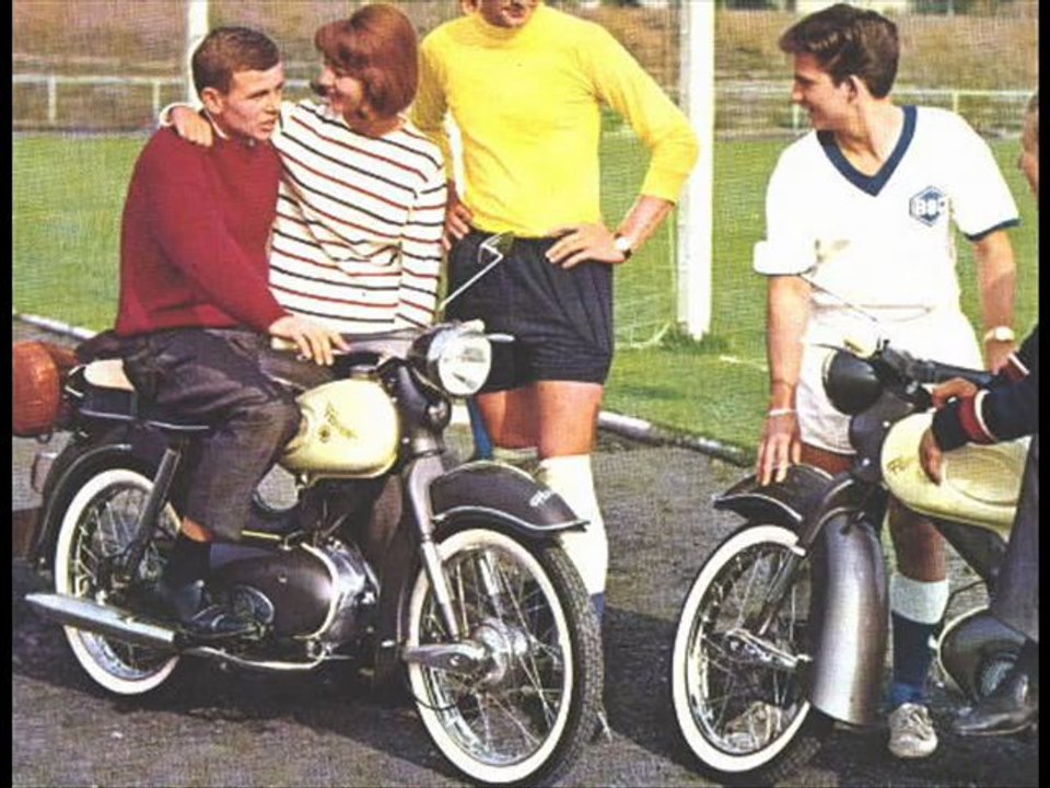 The Bugs - Slide