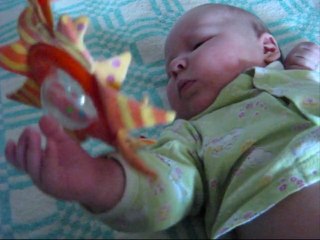 Новая жизнь