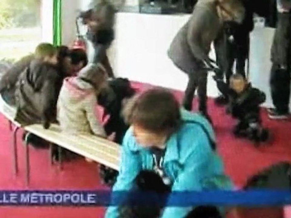 patinoire synthetique ecogliss de perenchies verlinghem