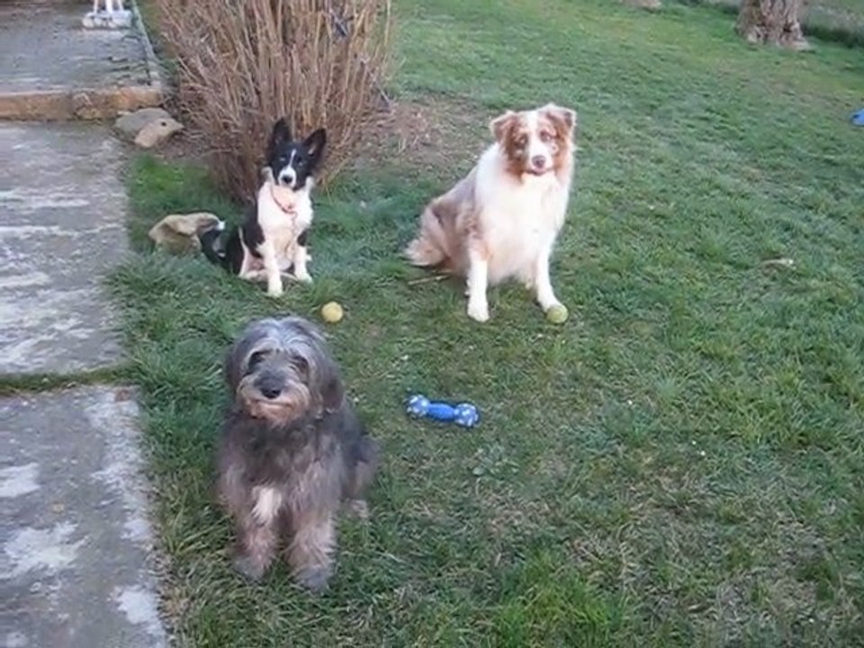 fevrier VIDEO PLATZ A 3