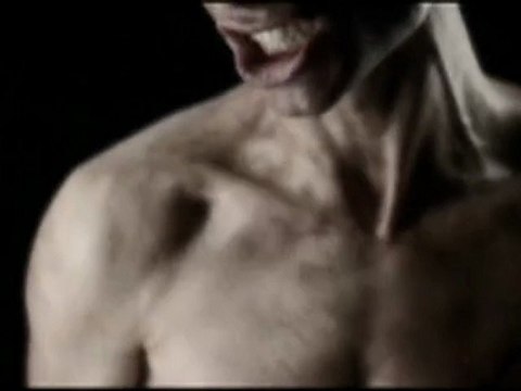 THESE NEW PURITANS “Elvis” (2008)