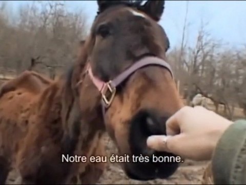 Gaz de ScHIsTes NOGAZARAN partie 1