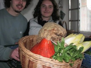 douaisis création d'une amap à Auberchicourt