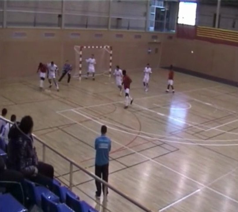 Coupe des Nations 2011 - France-Gambie