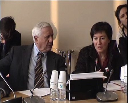 Com des Aff Europ - Brevet Unitaire Europ 1mars 2011