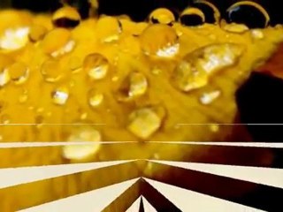 All the inspiration behind the nodes contained in the water