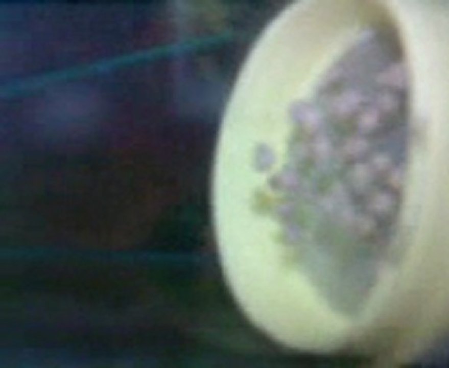 Video0001