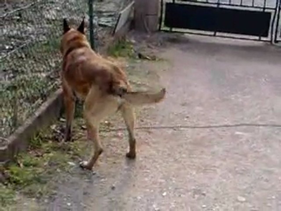 Floyd et Daimon