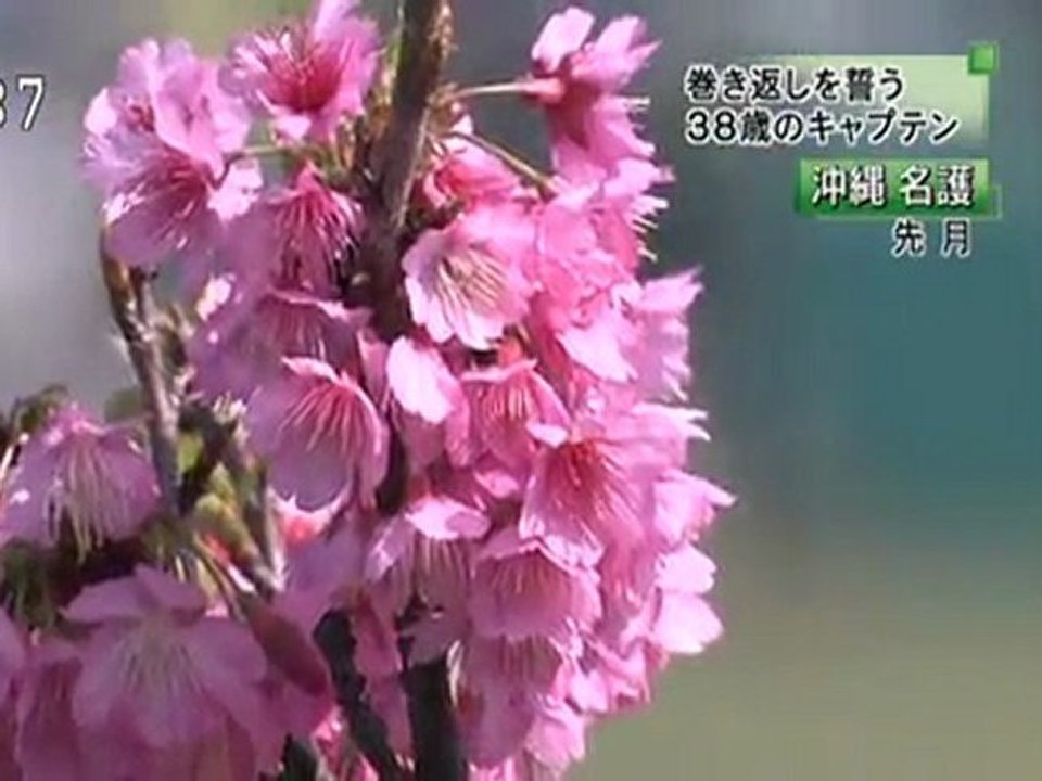20110303 02