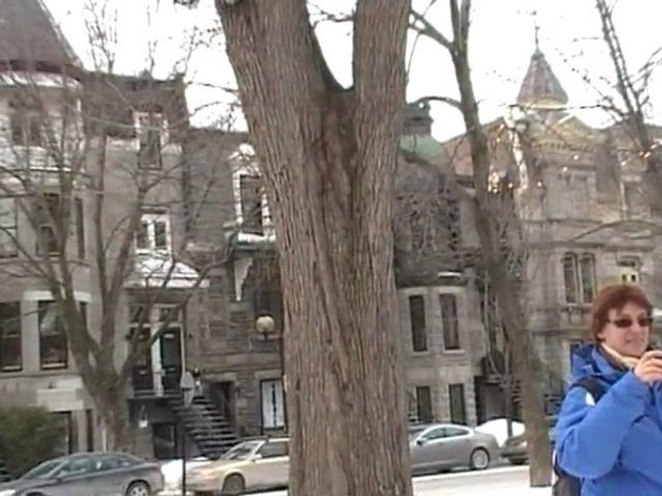 CANADA Fév. 2011 - Montréal - Ecureuils du Parc St-Louis