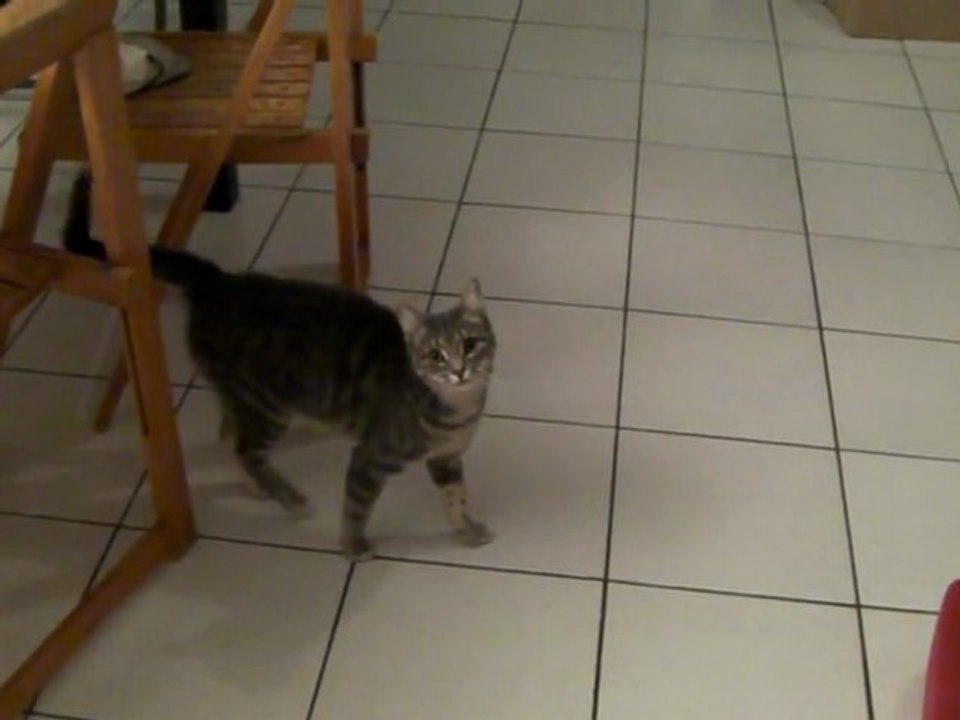 Sae, entre confiance et peur