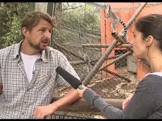 Territoire au zoo du Lunaret