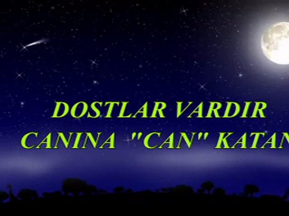 Dostlar vardır,canına can katan...