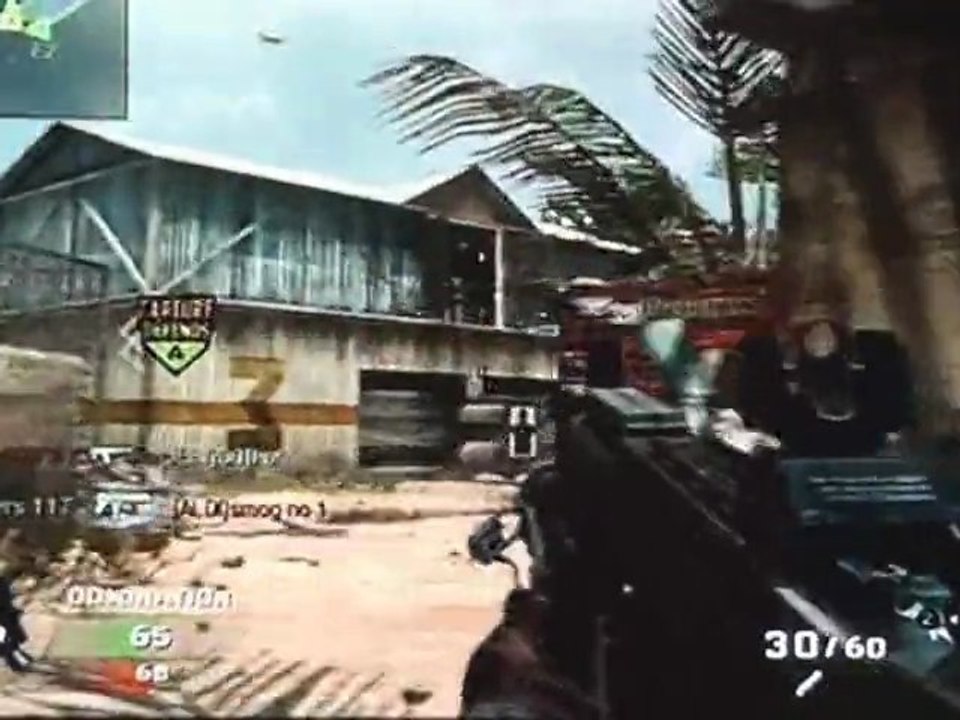 Call of Duty Black Ops : Mode online