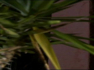 Plus Belle la Vie .Le bébé va t-il disparaître??