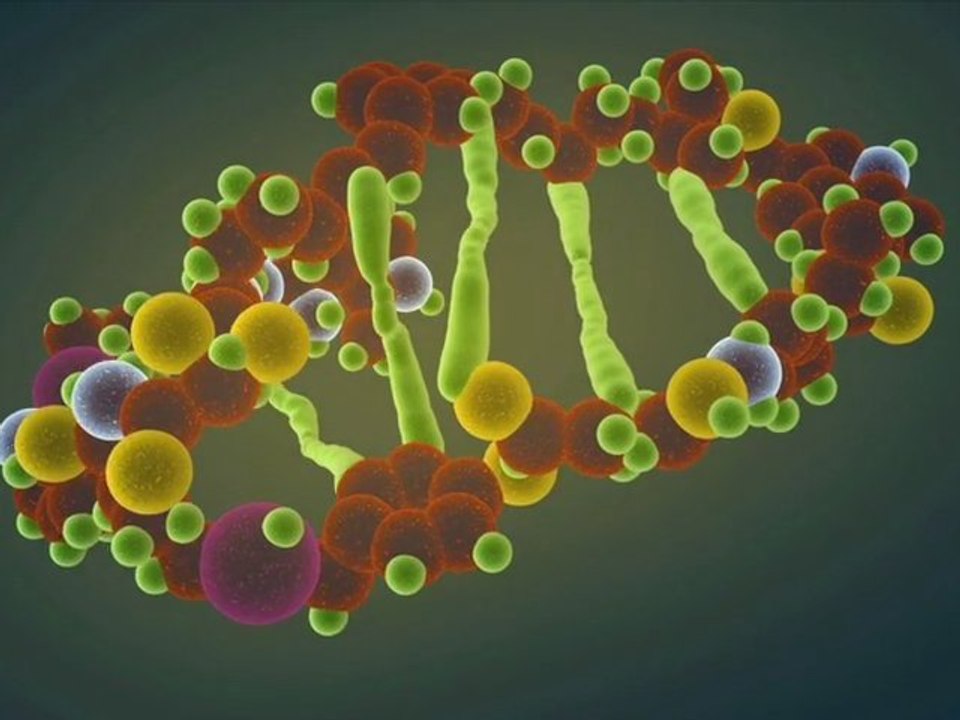 Protein Denaturation video Dailymotion