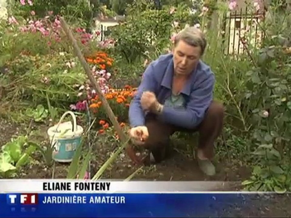 Octobre une periode importante pour les jardins