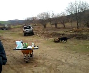 video-2011-02-02-16-29-35