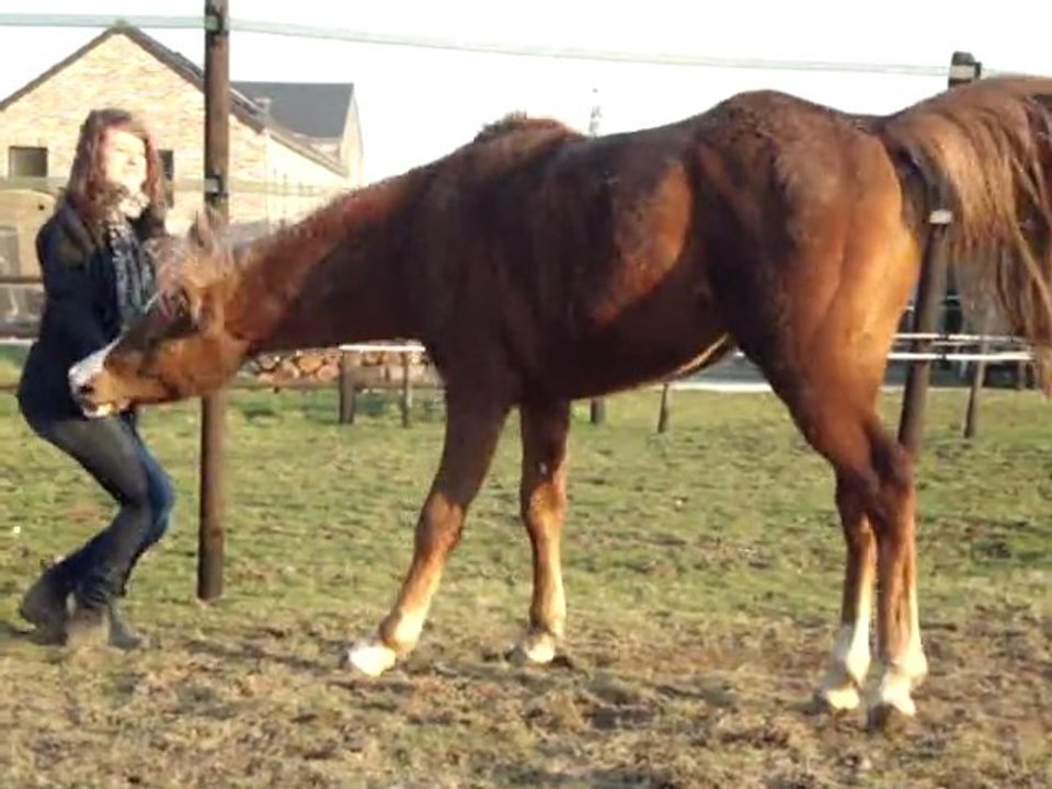 Tahleel et Julie
