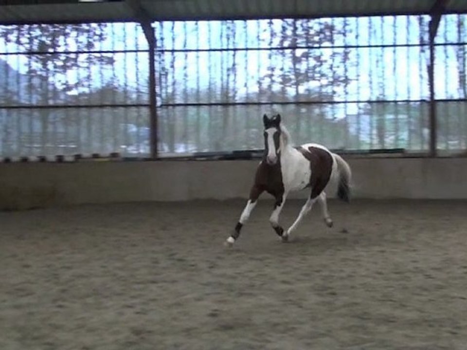 Ulyss-janvier 2011