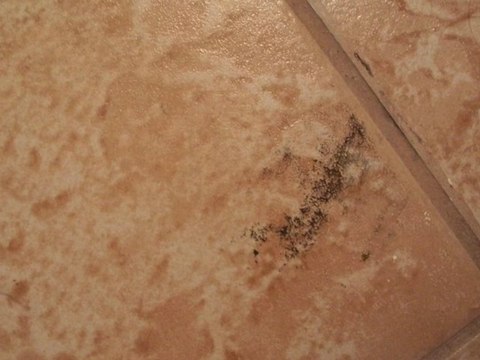 Best San Antonio carpet and tile cleaner. We want to help!