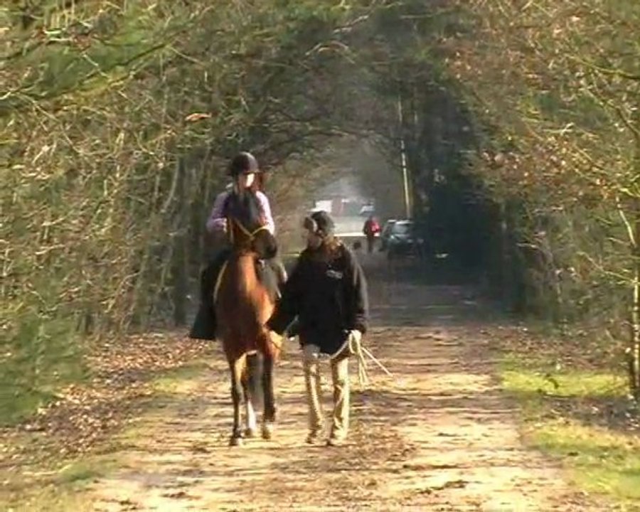 buitenrit met washi , cheyenne en pilasha