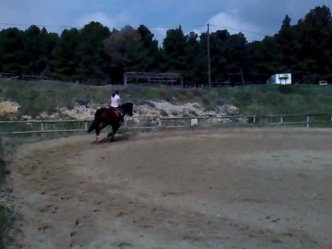 galop droite