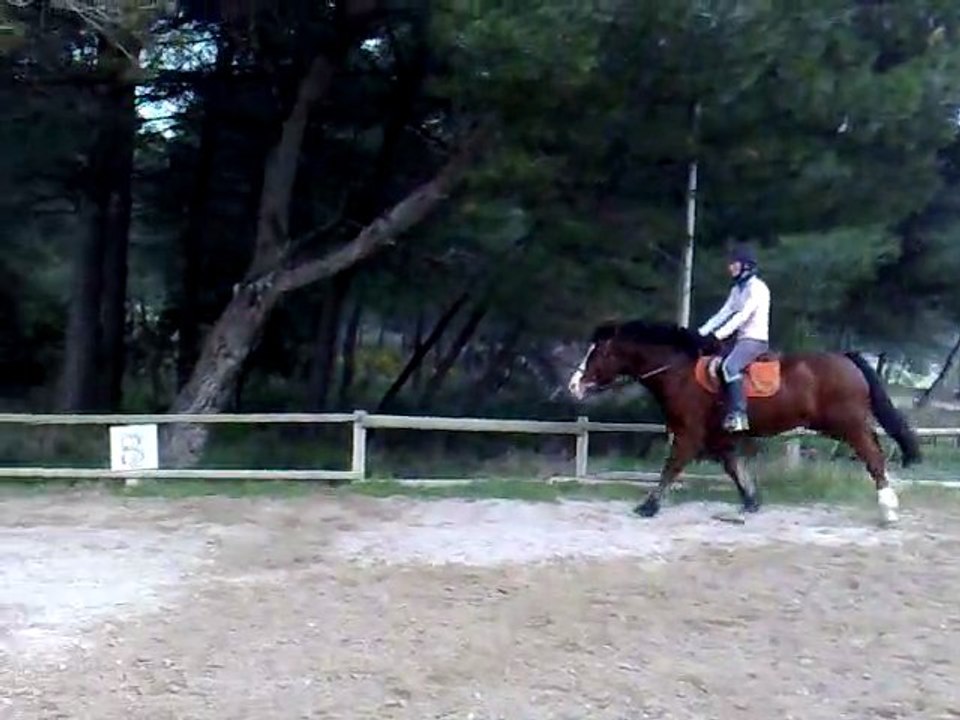 allongement au galop