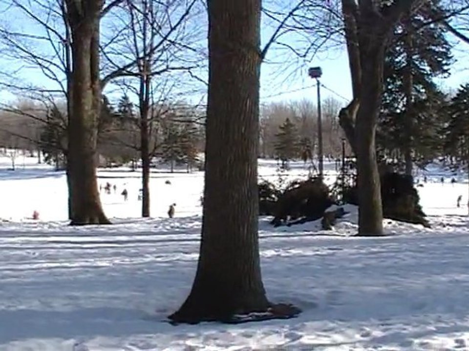 CANADA Fév. 2011 - Montréal - Mont-Royal - Lac aux castors