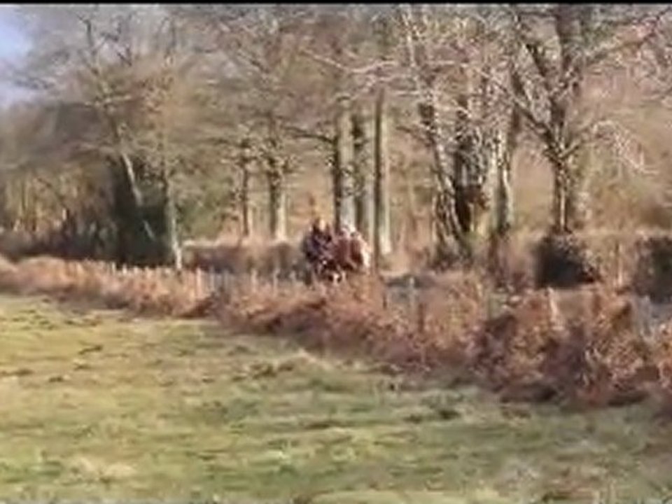 Février 2011