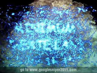 Work From Home Passive Income, Free Money Traffic