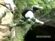 Cave BASE Jump - Cave of Swallows