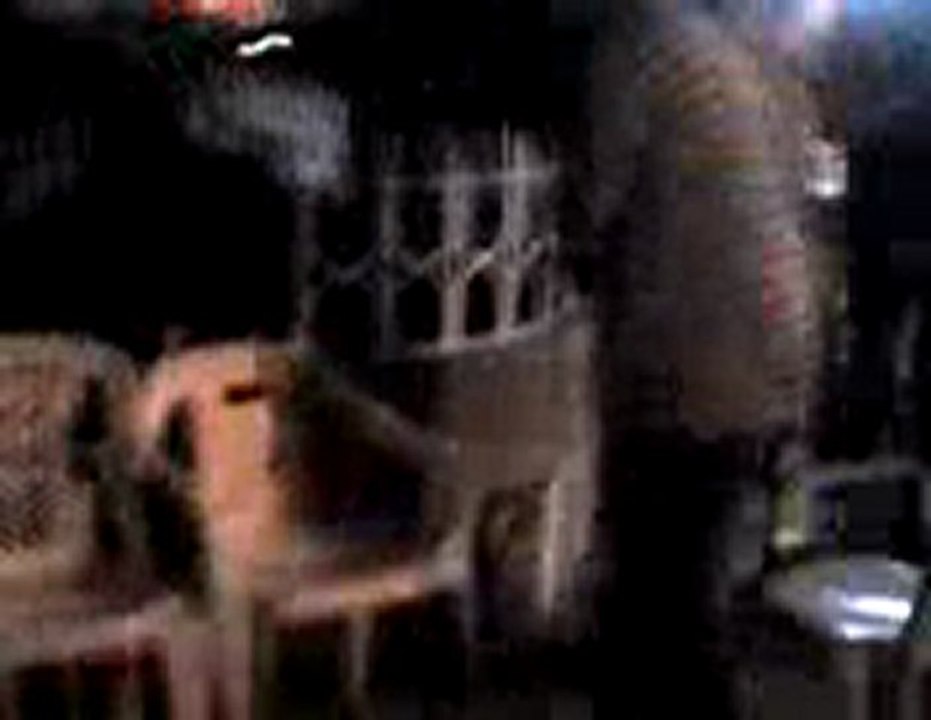 Maltrato Animal
