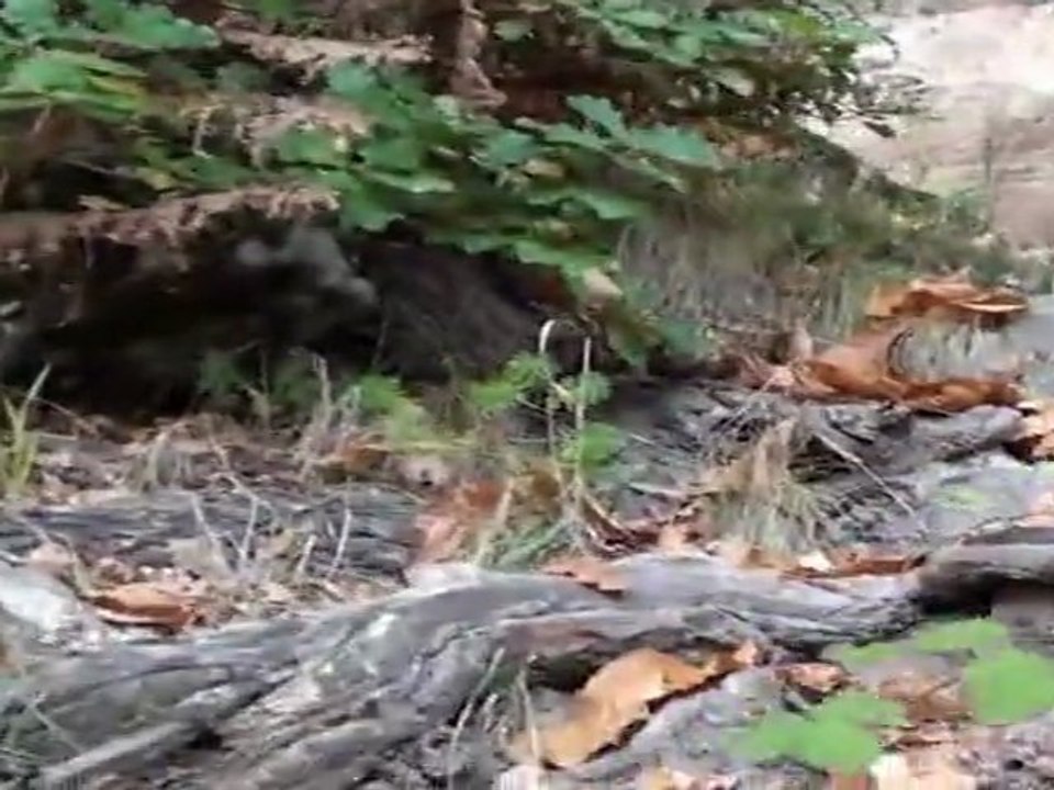 Les Grottes de Lamouroux 2