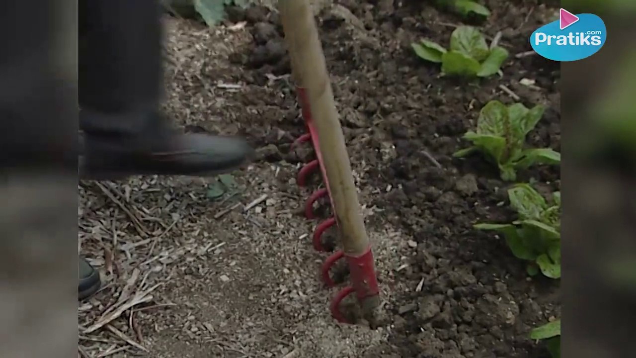 Réussir la culture sur B.R.F. (Bois Raméal Fragmenté)