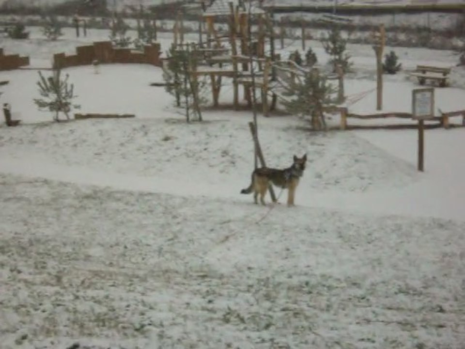 Décembre 2010, première neige