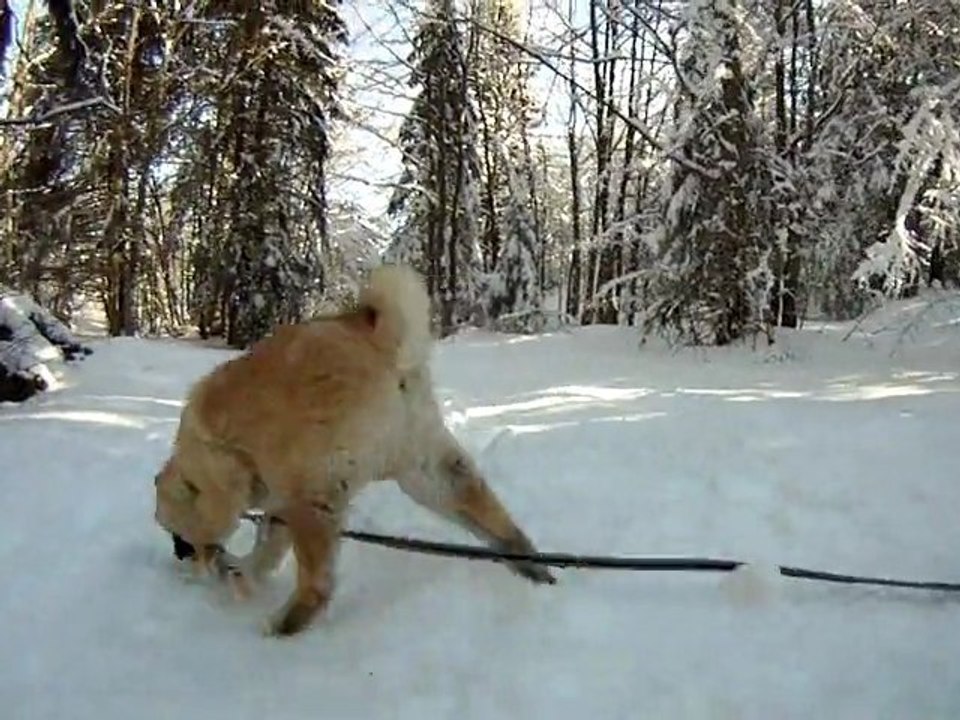 2011-03-04 - Revard (Crolles) - 1