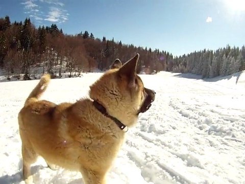 2011-03-04 - Revard (Crolles) - 2